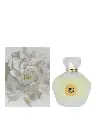 Musk & Roses 